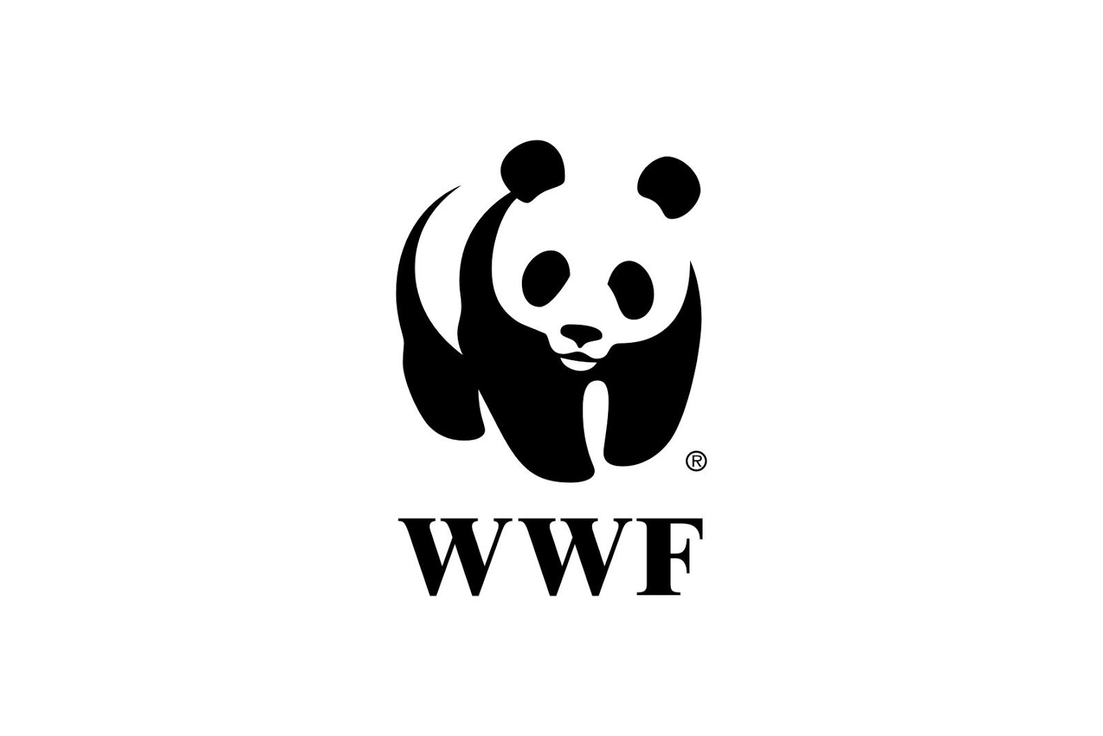 Driver Job Vacancy at WWF