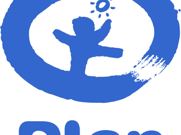 Communications Officer Job Vacancy at Plan International