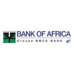 Bank Of Africa Tanzania Limited (BOA)