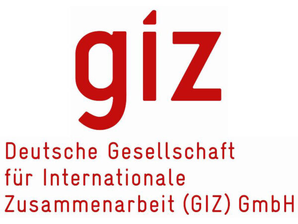 Tender Inviation Consultancy for a Digital Trade Study at GIZ