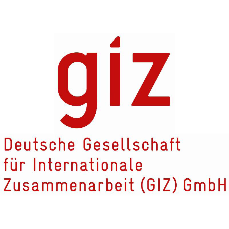 Tender Inviation Consultancy for a Digital Trade Study at GIZ
