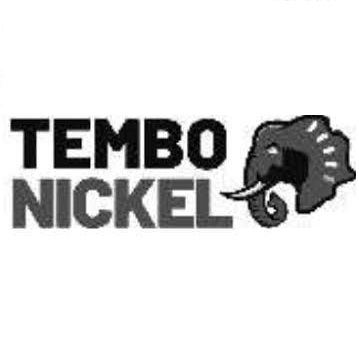 Tembo Nickel Young Talent program (TNYTP) 2023 ( Various Internships)