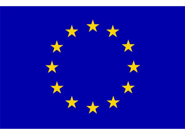 Driver Job Vacancy at European Union ( EU)