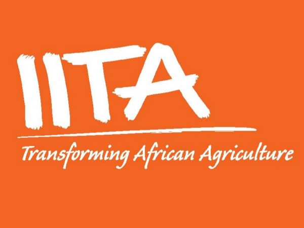 Driver/Field Assistant Job Vacancy at IITA
