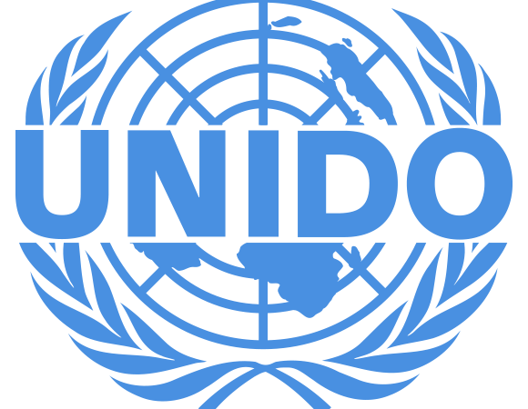 Lead International Expert - Conformity Assessment Vacancy at UNIDO in Tanzania - USD 115,908 Per Year