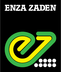 Logistics and Procurement Manager Job Vacancy at Enza Zaden Africa Ltd.