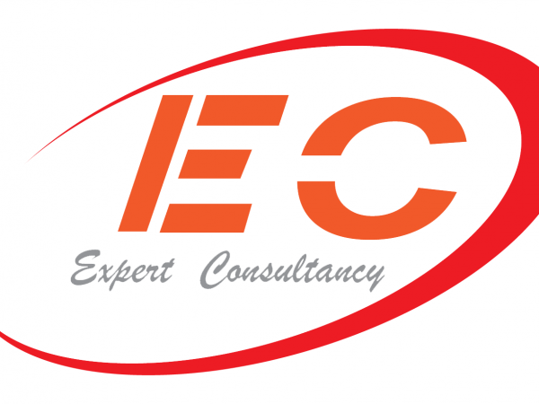 Manufacturing Industry Senior Corporate Accountant Job Vacancy at Expert Consultancy - (TZS 4M Per Month)