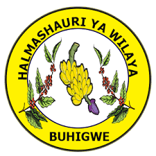 19 Job Opportunities at Buhigwe District Council