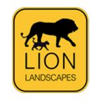 Lion Landscapes Tanzania