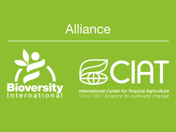 Senior Research Assistant Vacancy at CIAT/ Bioversity International