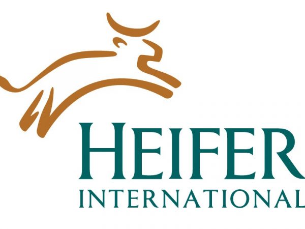 Business and System Analyst - IPMS Job Vacancy at Heifer International
