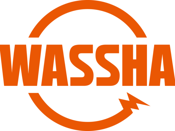Accounting Manager Job Vacancy at WASSHA Incorporation Tanzania