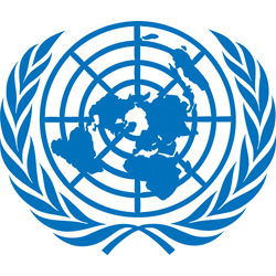 Field Security Coordination Officer, P3 Job Vacancy at United Nations