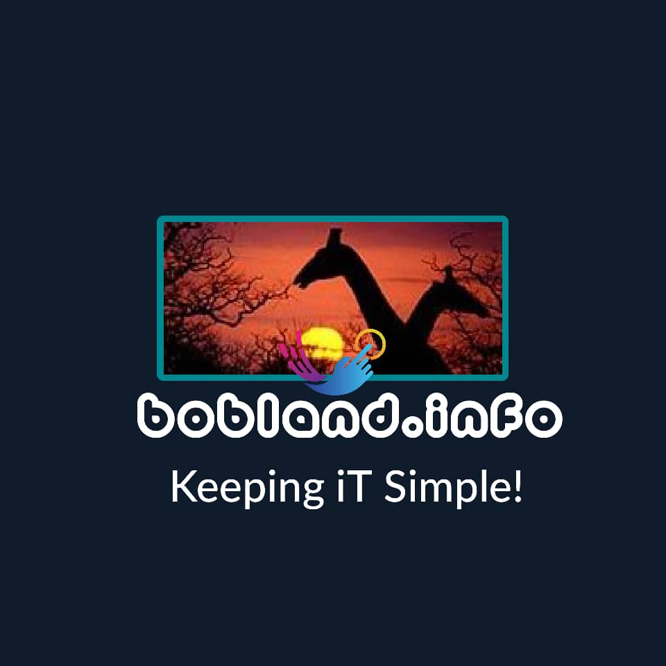 IT Intern Job Vacancy at Bobland Techniques