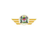 Tanzania Government Flight Agency (TGFA)