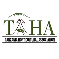 Deputy Chief of Party (DCoP) Job Vacancy at TAHA