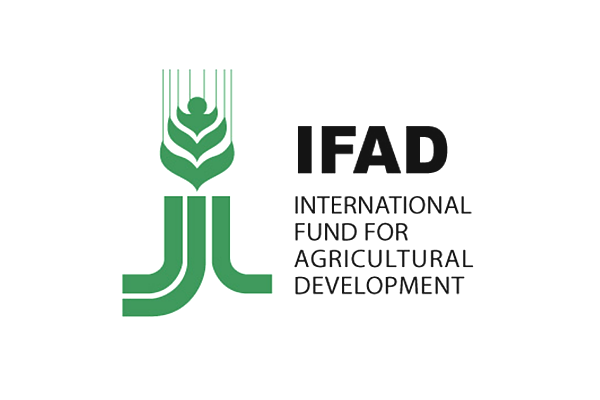 Driver/Clerk - G-3 Job Vacancy at IFAD