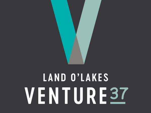 Finance and Grants Intern Job Vacancy at Land O'Lake