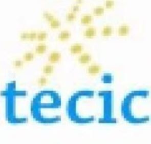 Emerging Engineers – Graduate Program at Tecic Tanzania Ltd