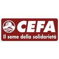 Administration and Finance Manager Job Vacancy at CEFA
