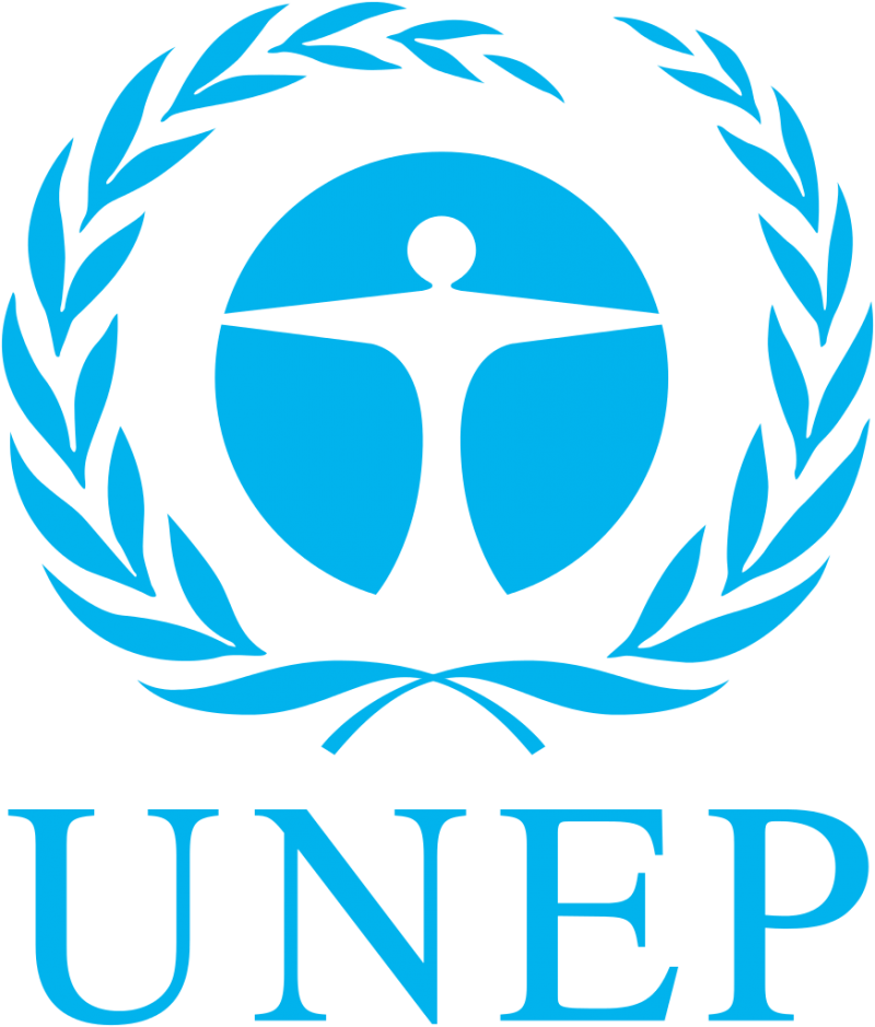 Programs and Communications Specialist Job Vacancy at UNEP