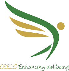 Assistant Project Accountant Job Vacancy at CEELS