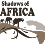 Shadows of Africa