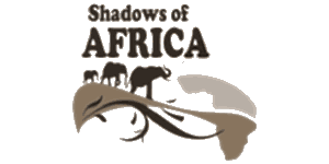 Assistant Accountant Job Vacancy at Shadows of Africa