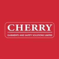 Sales Representative Vacancy Cherry Garments and Safety Solutions Ltd