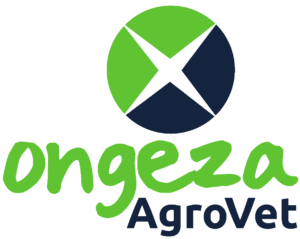 Accountant Job Vacancy at Ongeza Agrovet