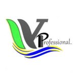 Wajenzi Professional Co. Ltd