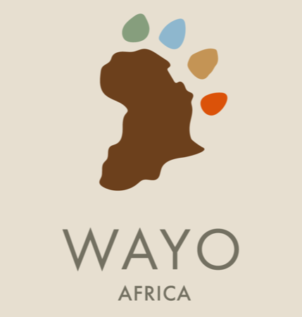 Tanzanian Chief Operations Oﬃcer (COO) Vacancy at Wilderness Wayo Limited