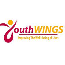 Data Manager (DM) Job Vacancy at Youth Wings