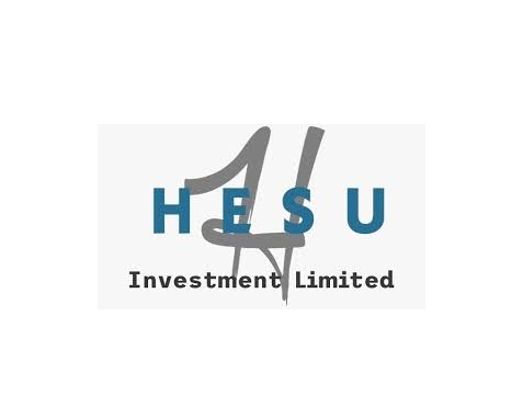 IT Officer Job Vacancy at Hesu