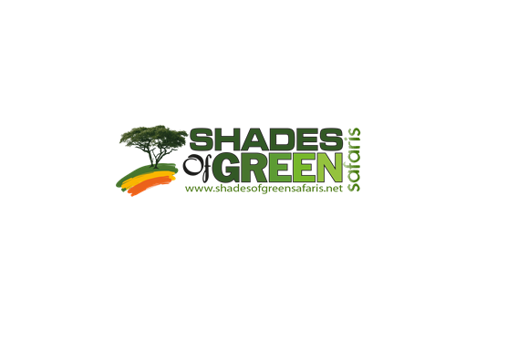 Auto Mechanic Technician Vacancies at Shades of Green Safaris - 2 Positions