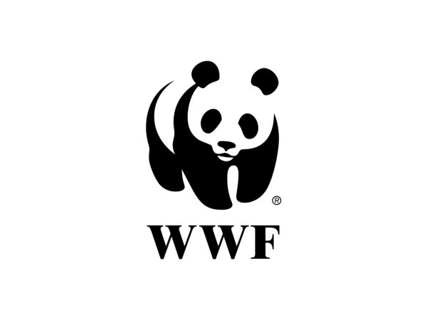 Mentorship Opportunity at WWF