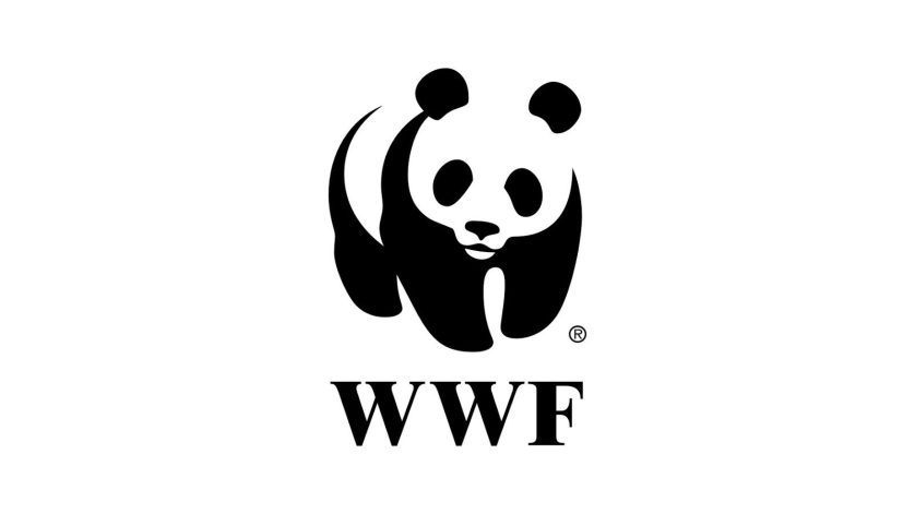 Mentorship Opportunity at WWF