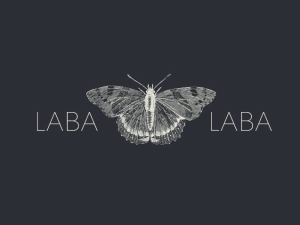 Procurement Officer Job Vacancy at Laba Laba Ltd