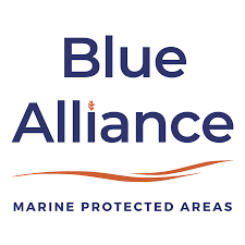 Finance & Administration Officer Job Vacancy at Blue Alliance