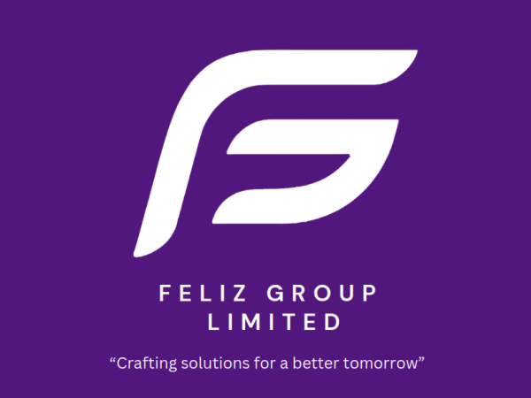 Full Stack Developer Job Vacancy at Feliz Group Limited
