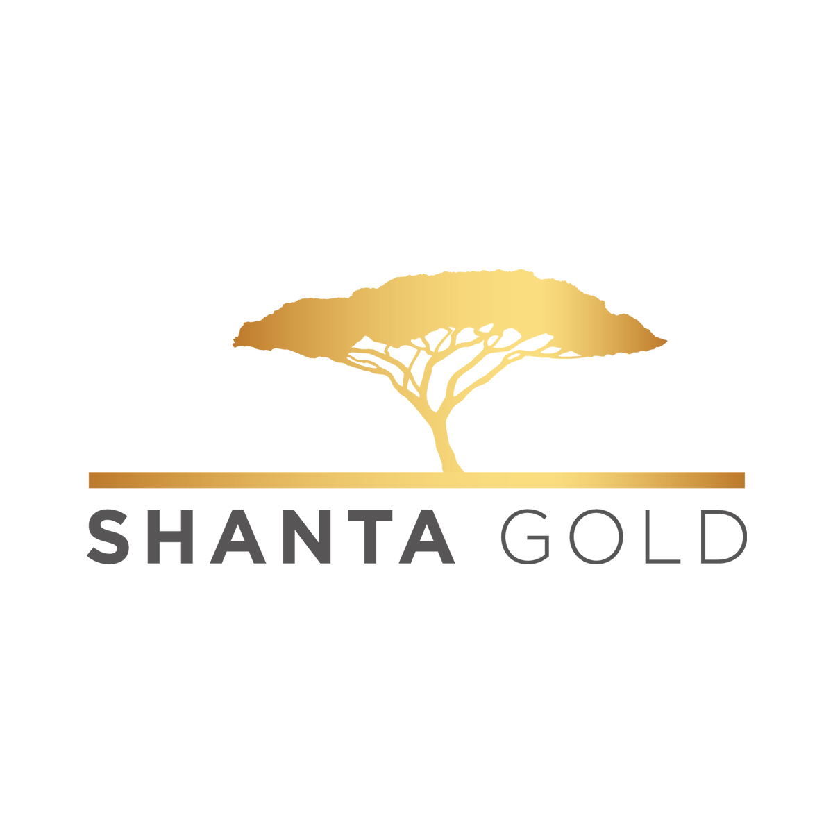 Mechanic – HME Job Vacancy at Shanta Gold