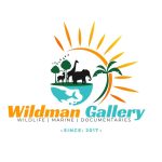 Wildman Gallery Ltd