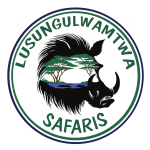 Lusungulwamtwa Safaris
