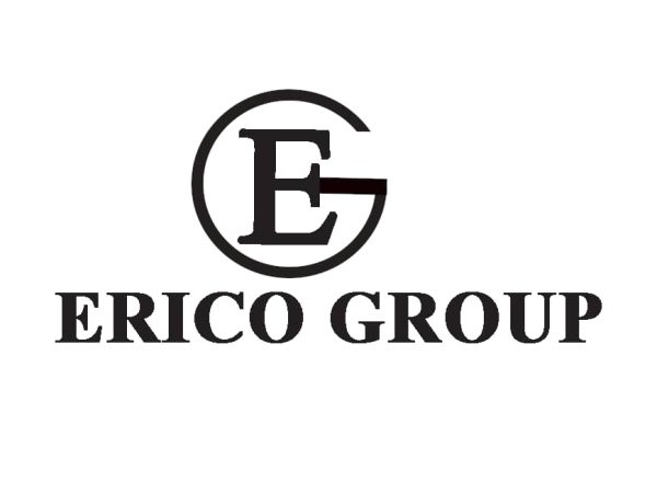 Senior ERP Engineer Job Vacancy at ERICO Group Company Limited