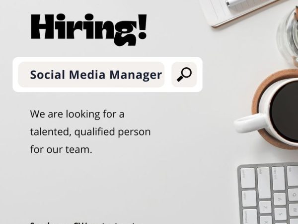 Social Media Manager Job Vacancy at Mandy Stores