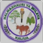Kaliua District Council