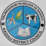 Kasulu District Council