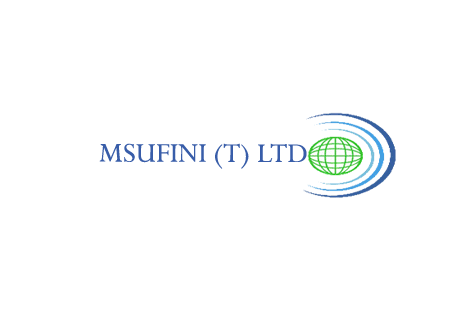 Financial Controller at Msufini (T) Limited August 2025