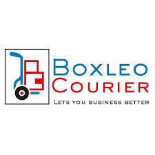 Telesales Agent Intern Job Vacancy at Boxleo Courier & Fulfillment Services Limited