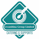 Compensation and Benefits Officer at Gwambina Group Ltd, Dar es Salaam December 2025